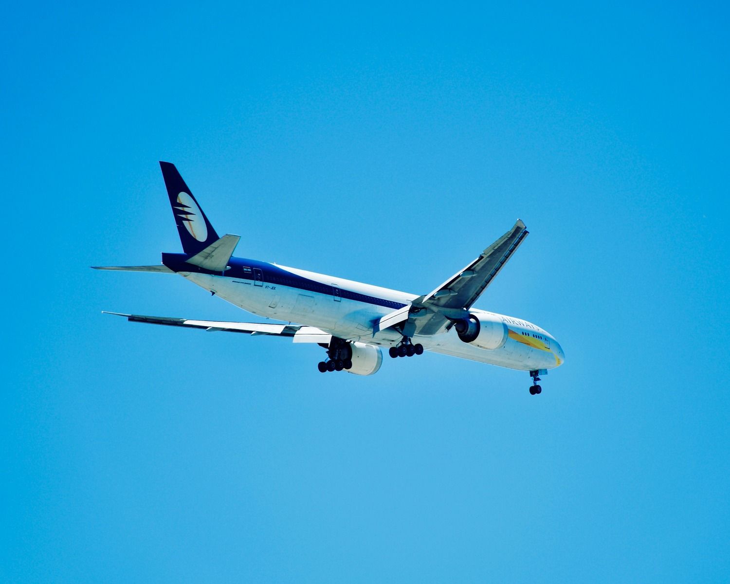 Aviation Insurance